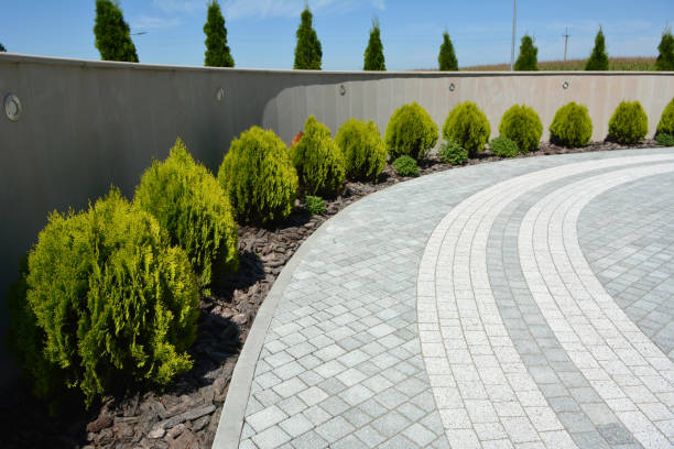 Best Driveway Pavers Near Me  in Savoy, IL